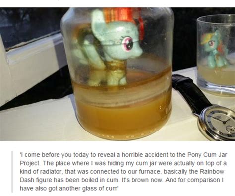 For quite some time now, the "Pony Cum Jar Project" has been going down in the shadows, with one anonymous man collecting all of his ejaculations in a jar, containing a Rainbow Dash toy. This...